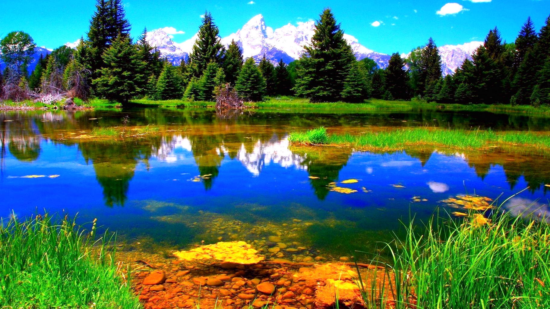 壁紙alam hd,自然の風景,自然,反射,水,池