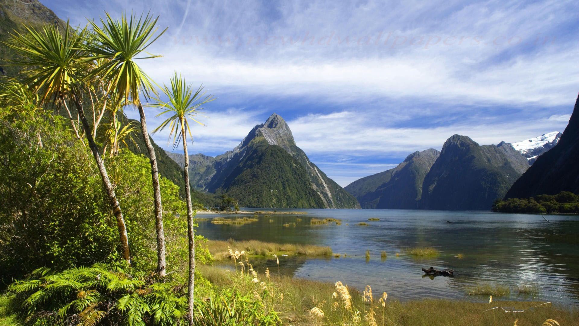 echte natur tapete,natürliche landschaft,natur,berg,gebirge,fjord