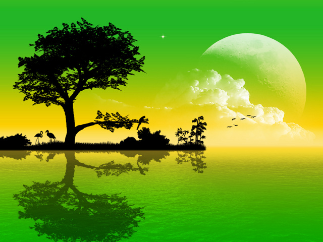 안드로이드 폰 무료 다운로드를위한 hd 자연 배경 화면,자연 경관,자연,초록,하늘,나무