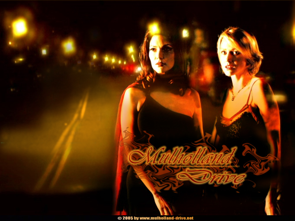 mulholland drive wallpaper,photography,flash photography,night