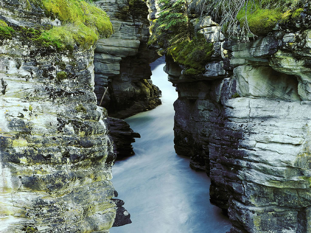 壁紙急流,水域,水資源,水,自然,水路