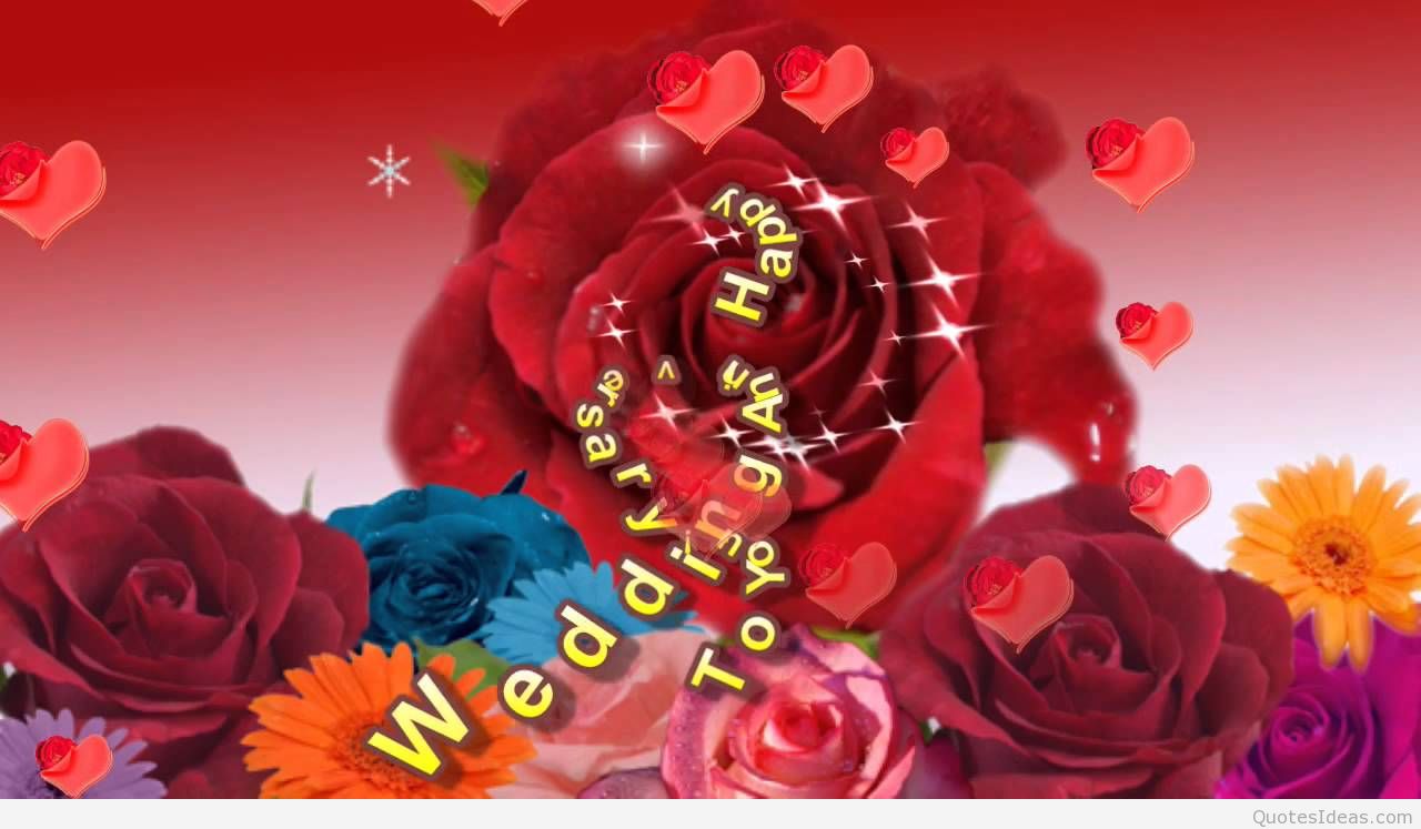 marriage anniversary wallpaper download,garden roses,rose,flower,red