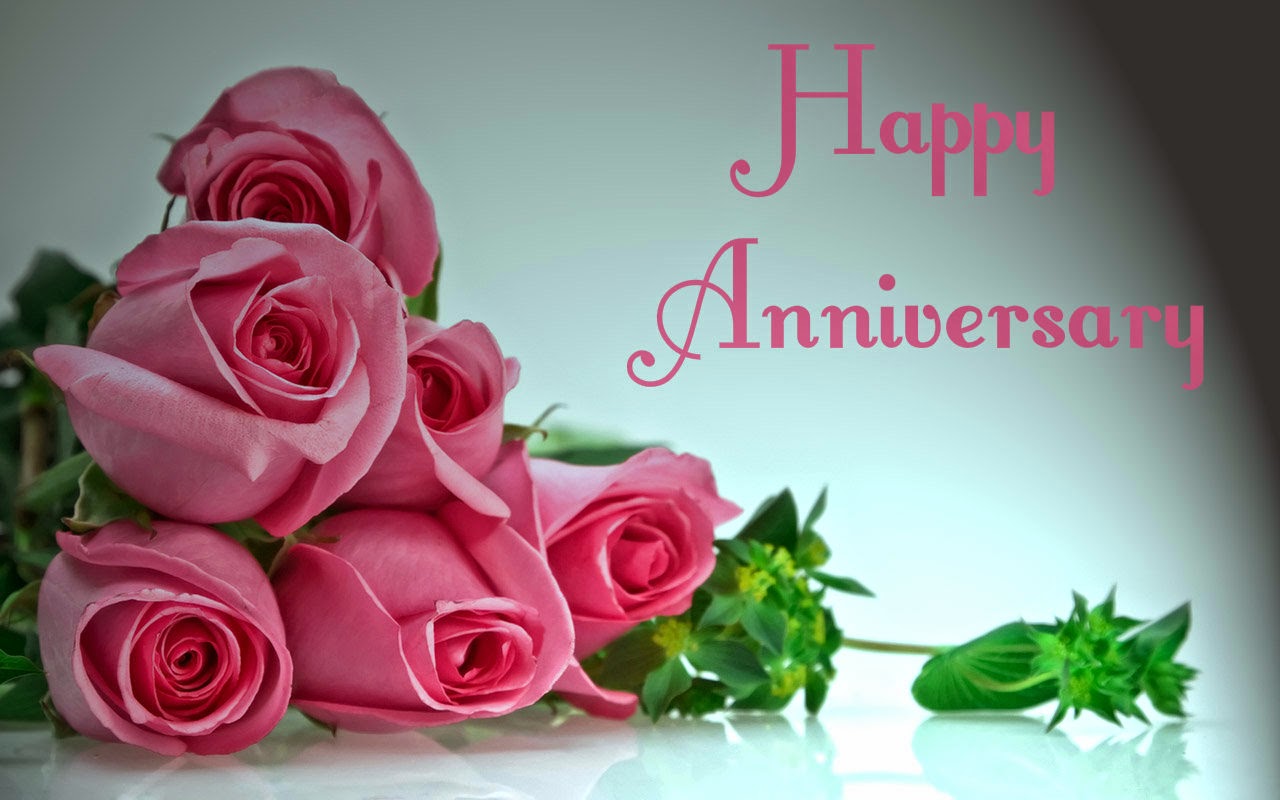 anniversary wallpaper download,pink,flower,rose,garden roses,cut flowers