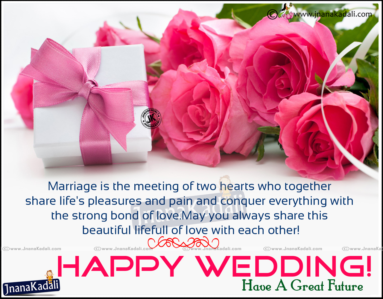 happy married life wallpaper,pink,flower,text,cut flowers,rose