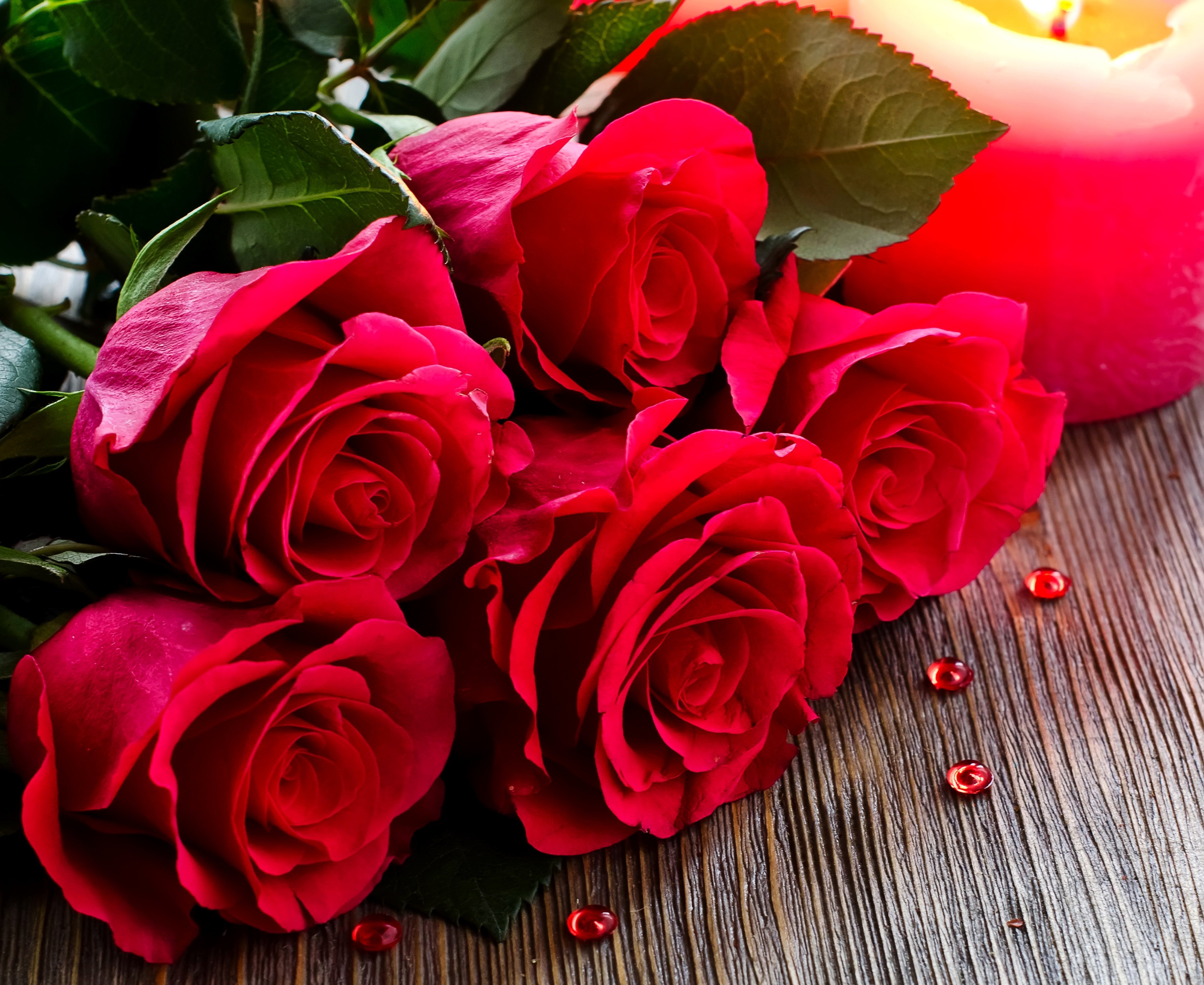 幸せな結婚生活の壁紙,花,庭のバラ,ローズ,花弁,赤