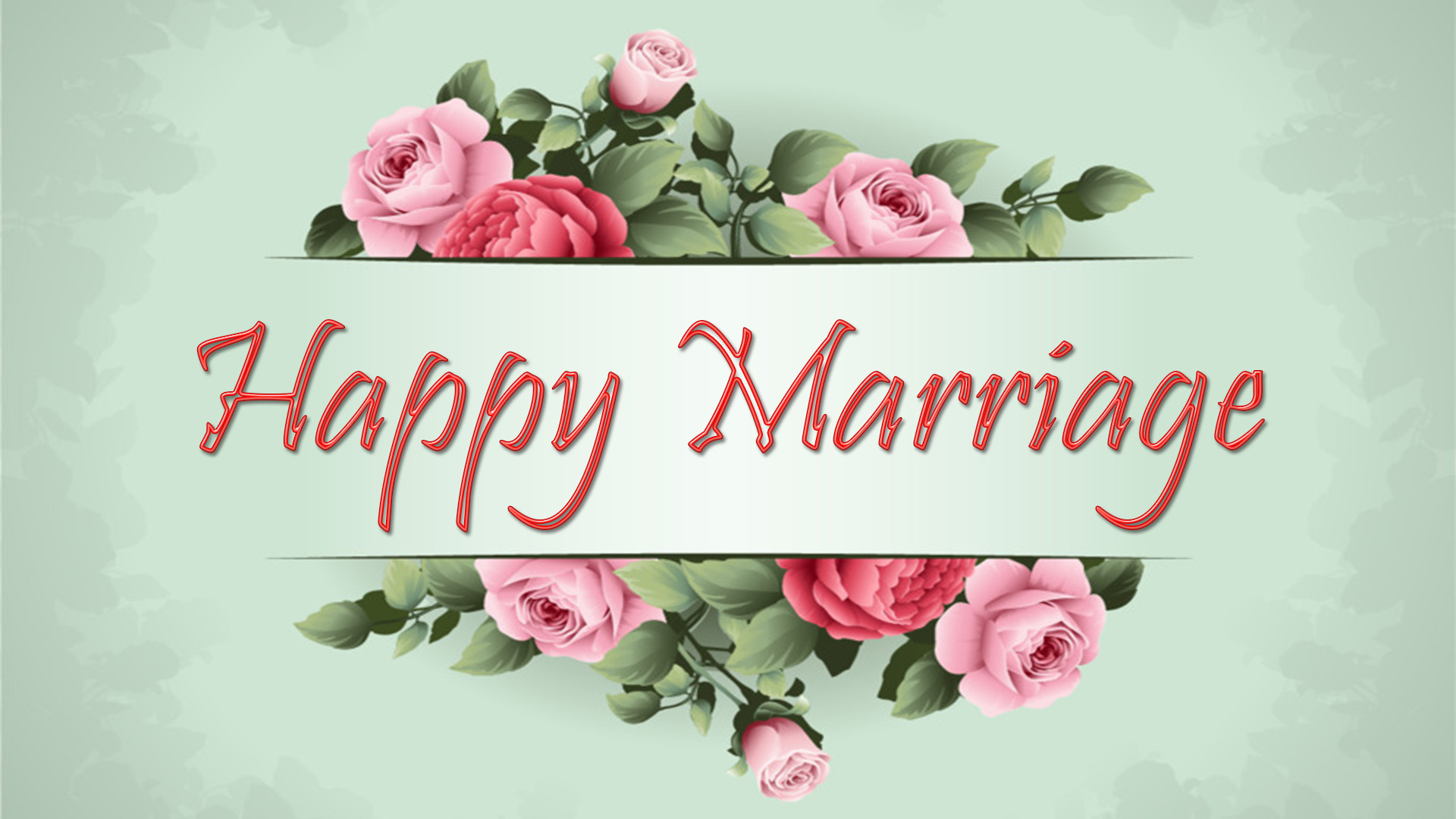 hochzeit wünscht tapete,gartenrosen,rosa,schriftart,text,blume