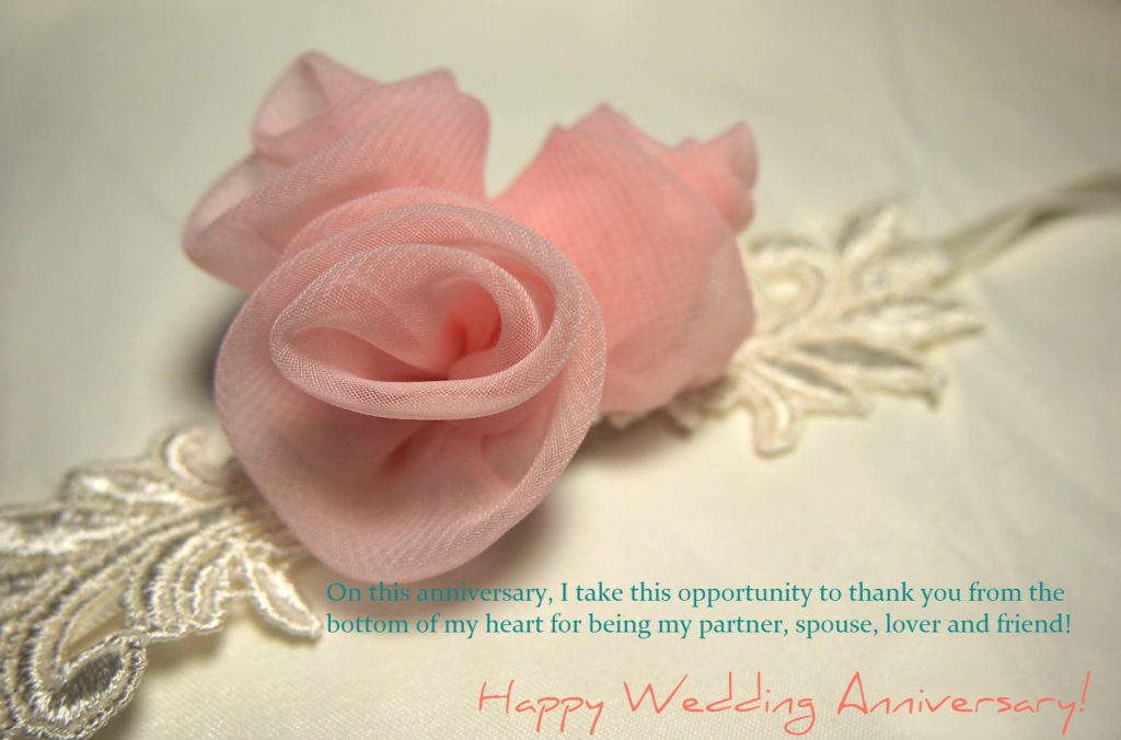 wedding wishes wallpaper,pink,flower,garden roses,petal,rose