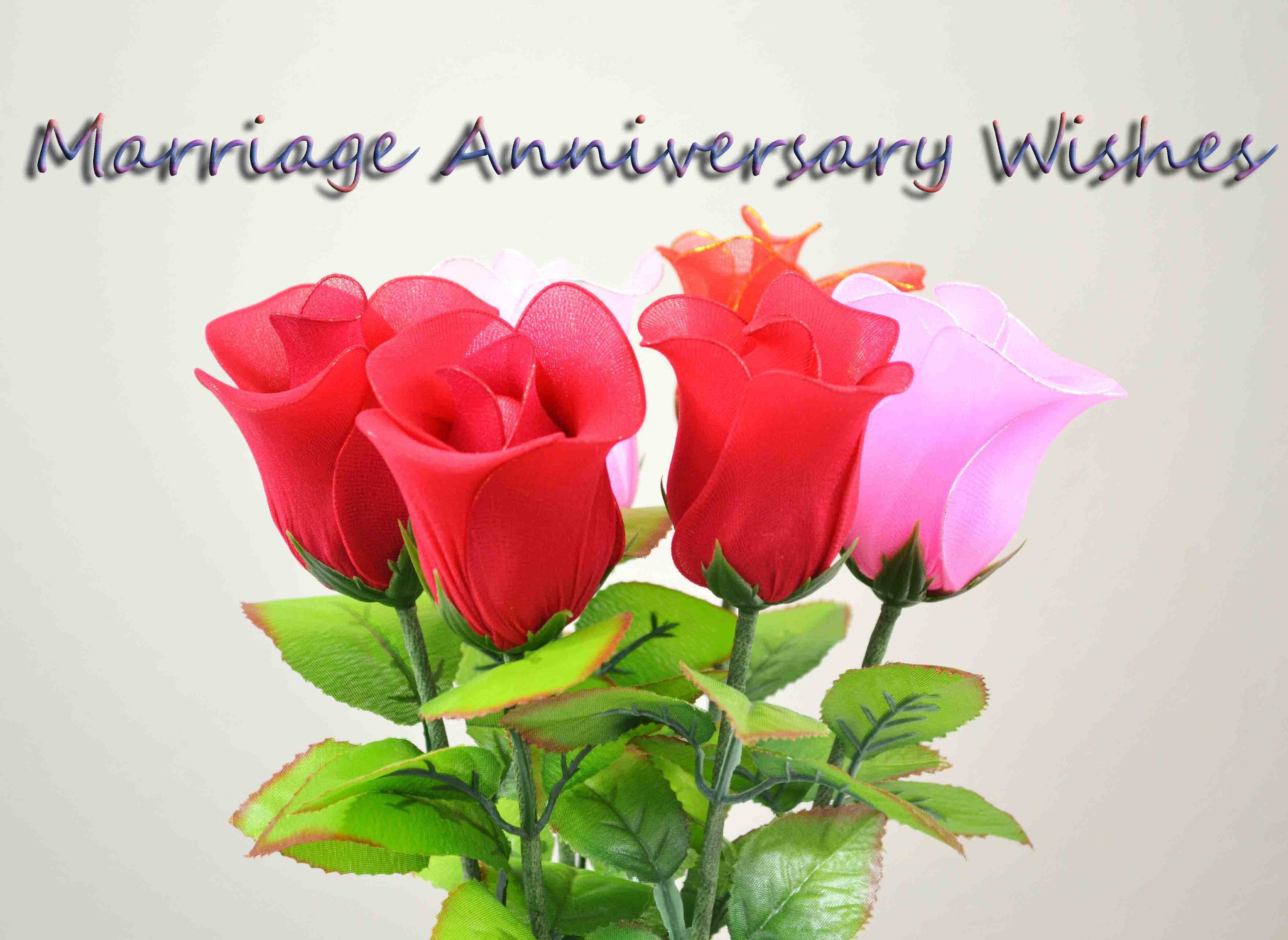 marriage day wallpapers,flower,petal,pink,red,plant