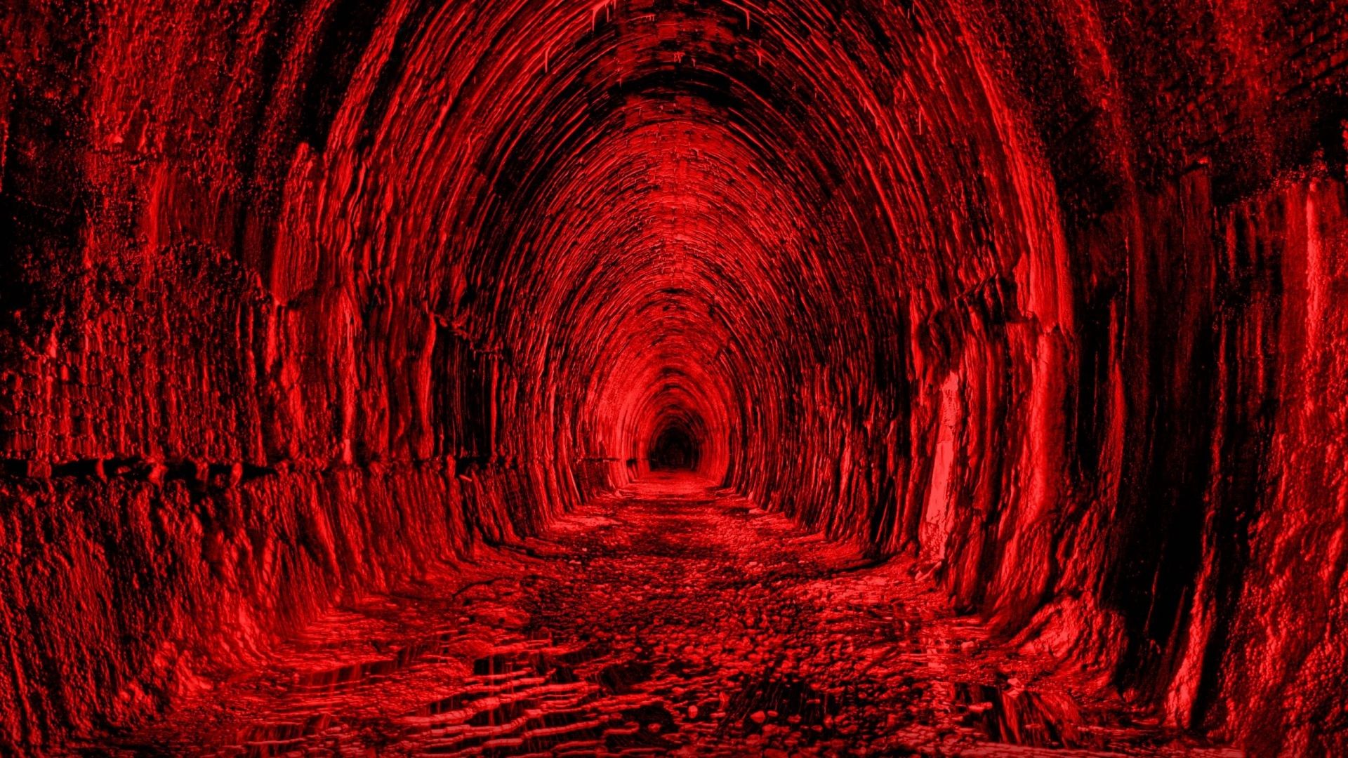 赤い壁紙hd 1080p,赤,木,形成,サークル,トンネル
