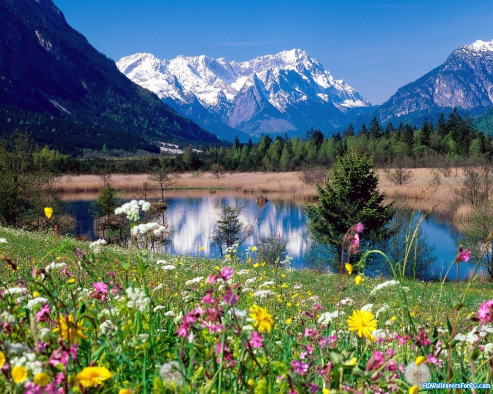 schönsten tapeten der welt kostenloser download,natürliche landschaft,natur,berg,wiese,wildblume