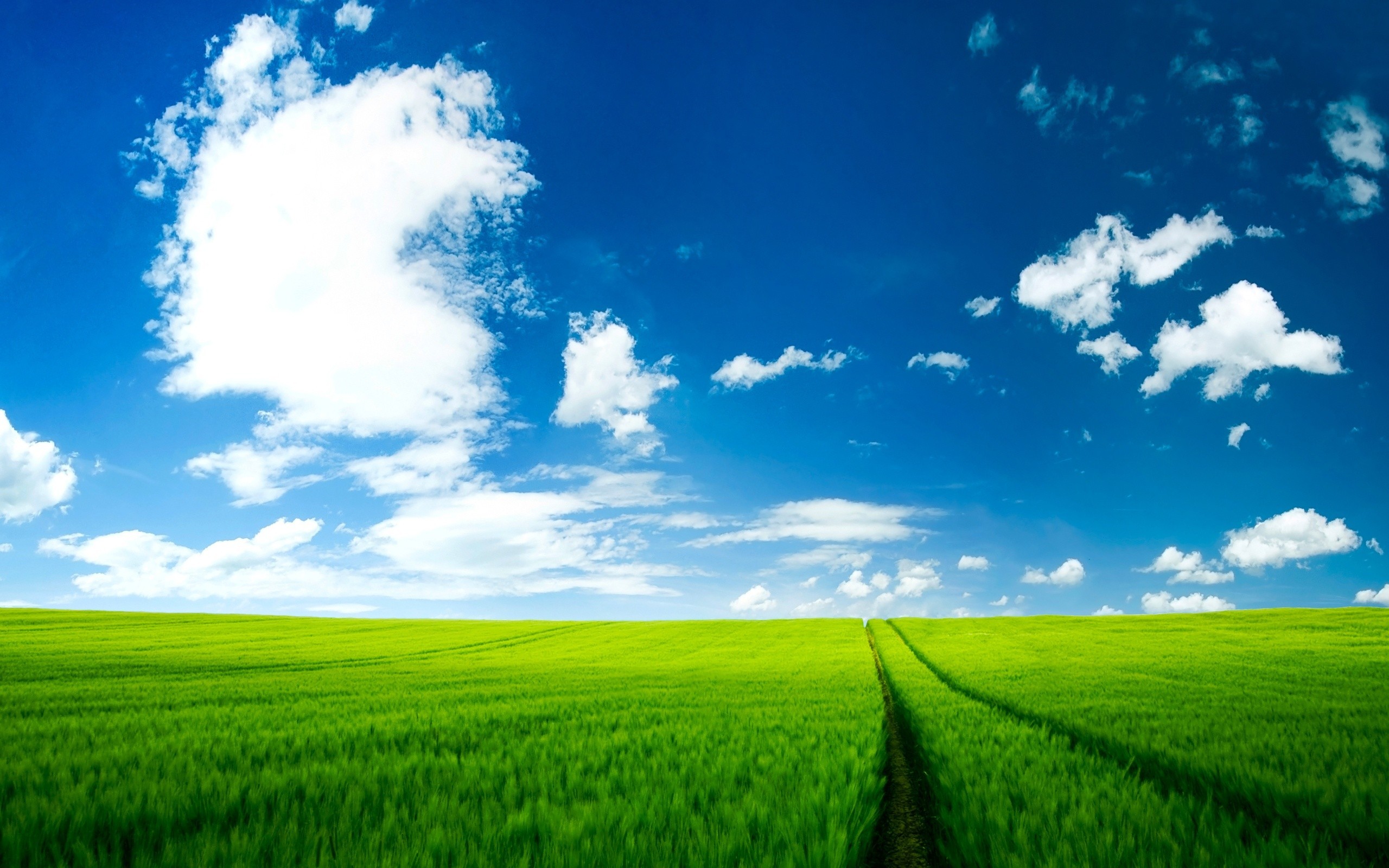 most beautiful wallpapers in the world free download,sky,natural landscape,people in nature,field,green