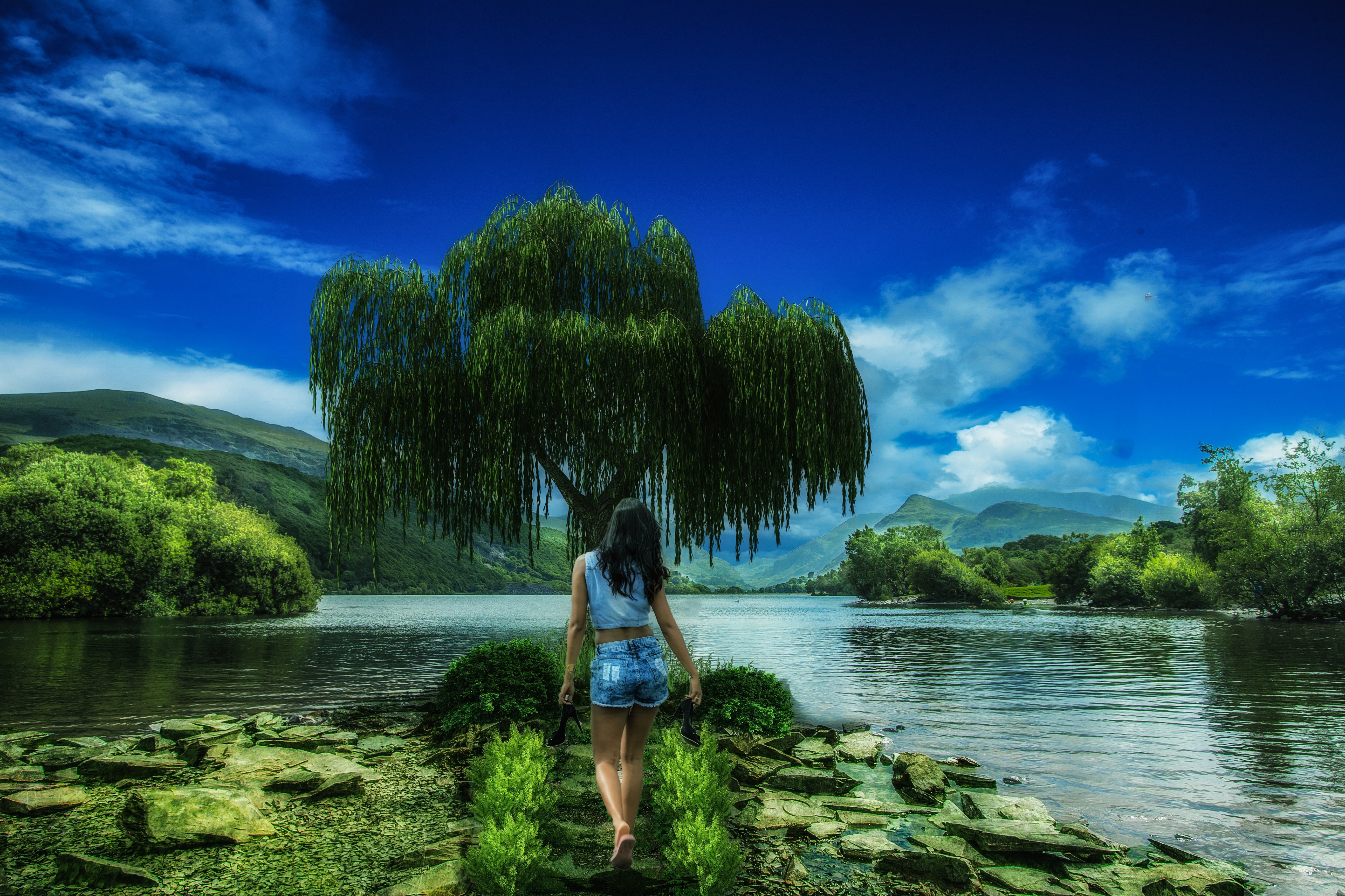 descarga gratuita de imágenes de fondo de pantalla,naturaleza,paisaje natural,agua,cielo,árbol
