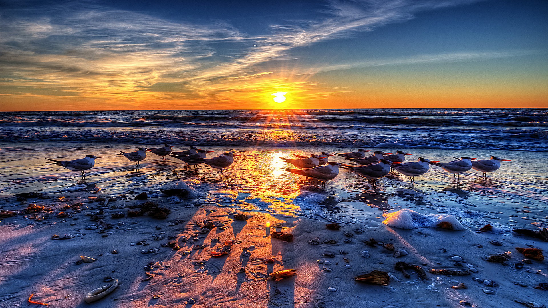 fondos de pantalla fotos descarga gratuita,cielo,horizonte,naturaleza,agua,reflexión