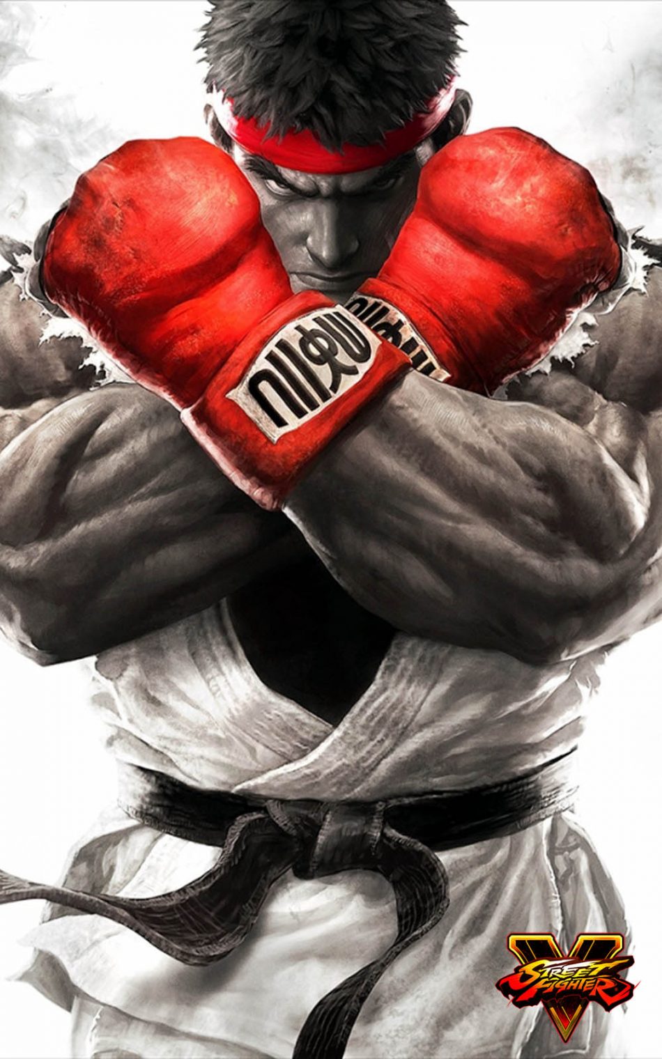 ryu street fighter wallpaper,boxing,boxing glove,professional boxer,professional boxing,punch