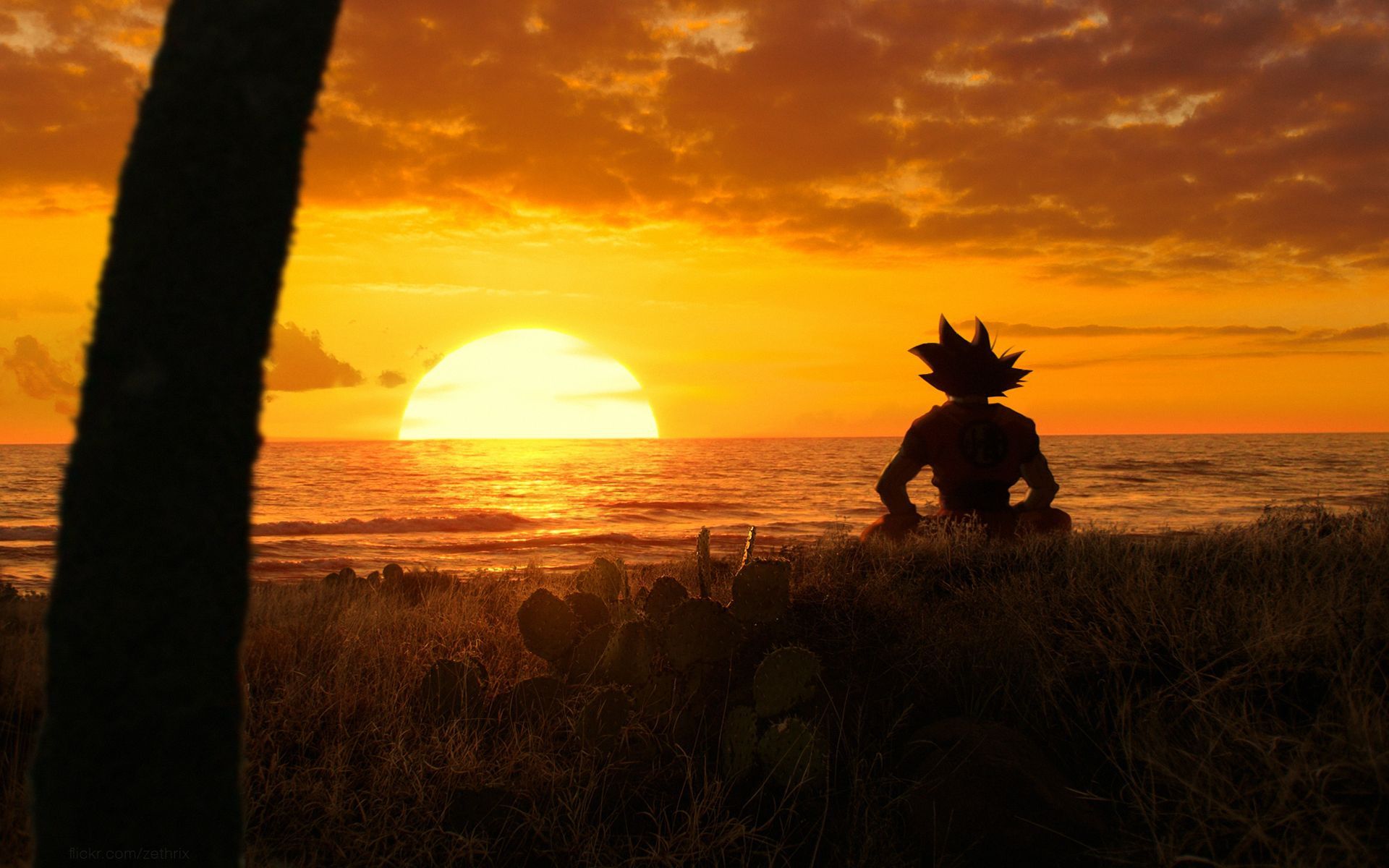 dbz wallpapers goku,sky,sunset,sunrise,horizon,morning