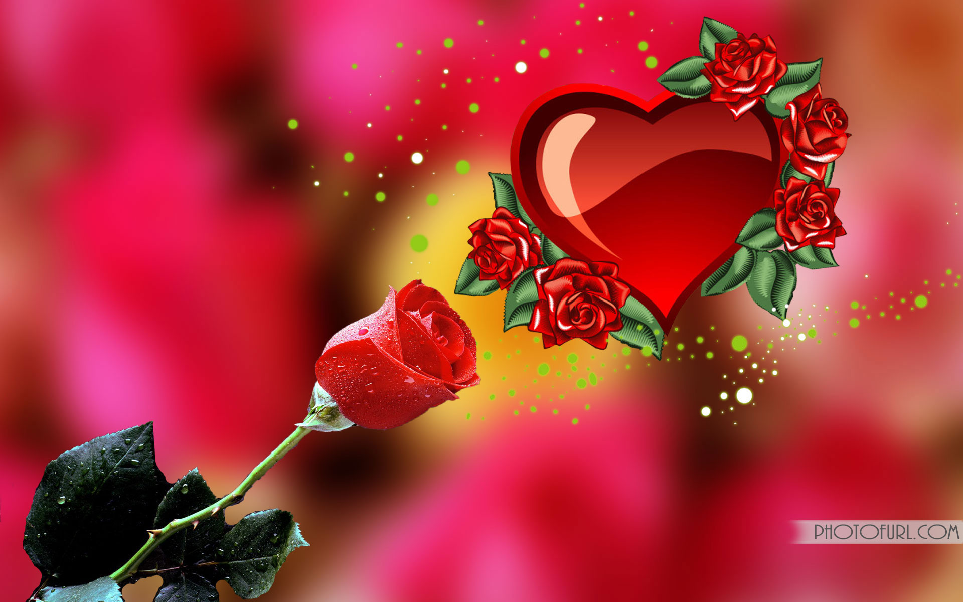 latest love wallpaper,red,heart,valentine's day,love,flower