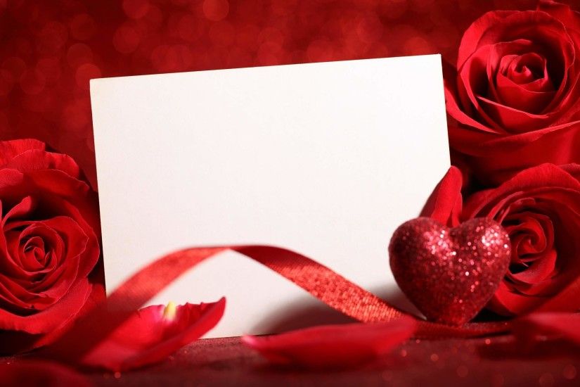 carta da parati legata all'amore,rosso,rose da giardino,petalo,san valentino,rosa