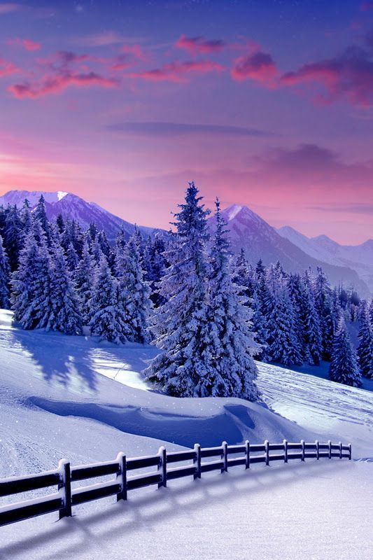 love scene wallpaper,snow,nature,winter,natural landscape,sky