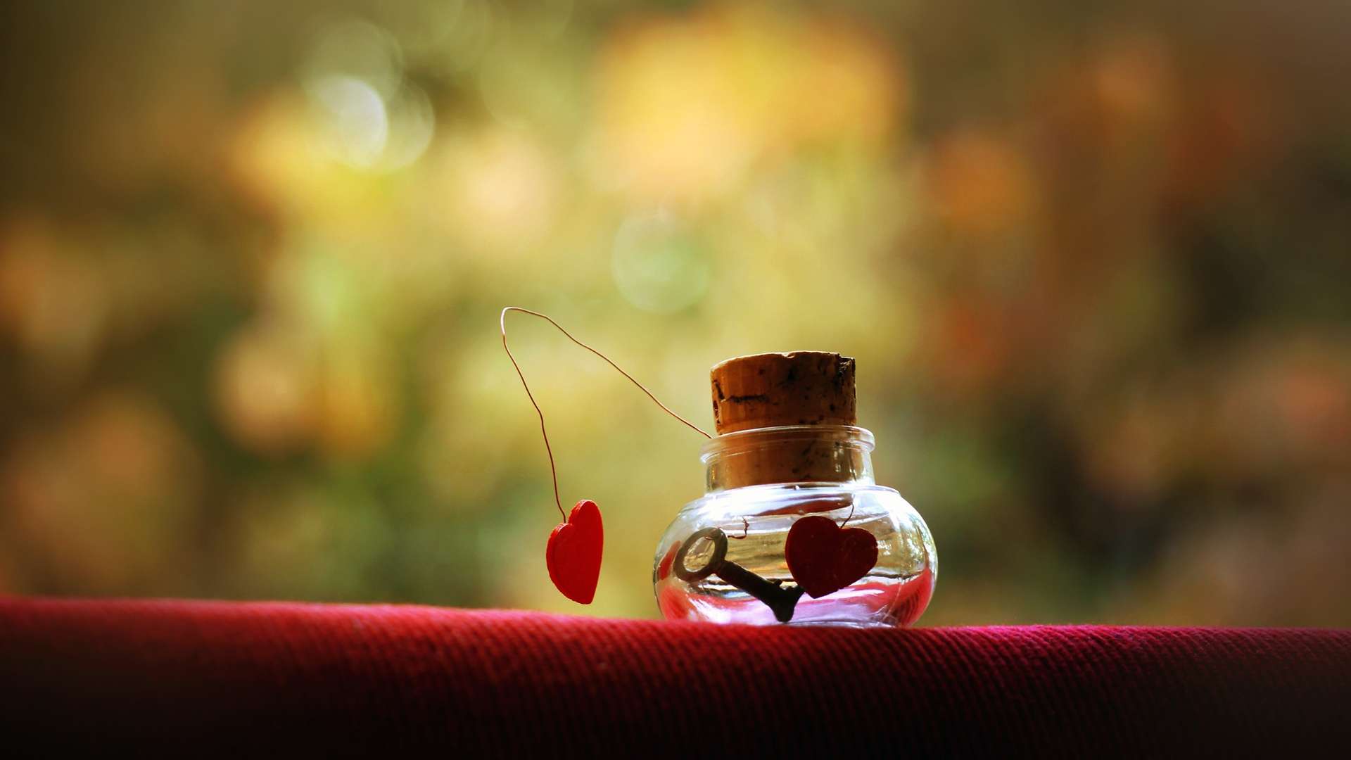 fond d'écran d'amour pour pc,rouge,photographie de nature morte,feuille,nature morte,bouteille