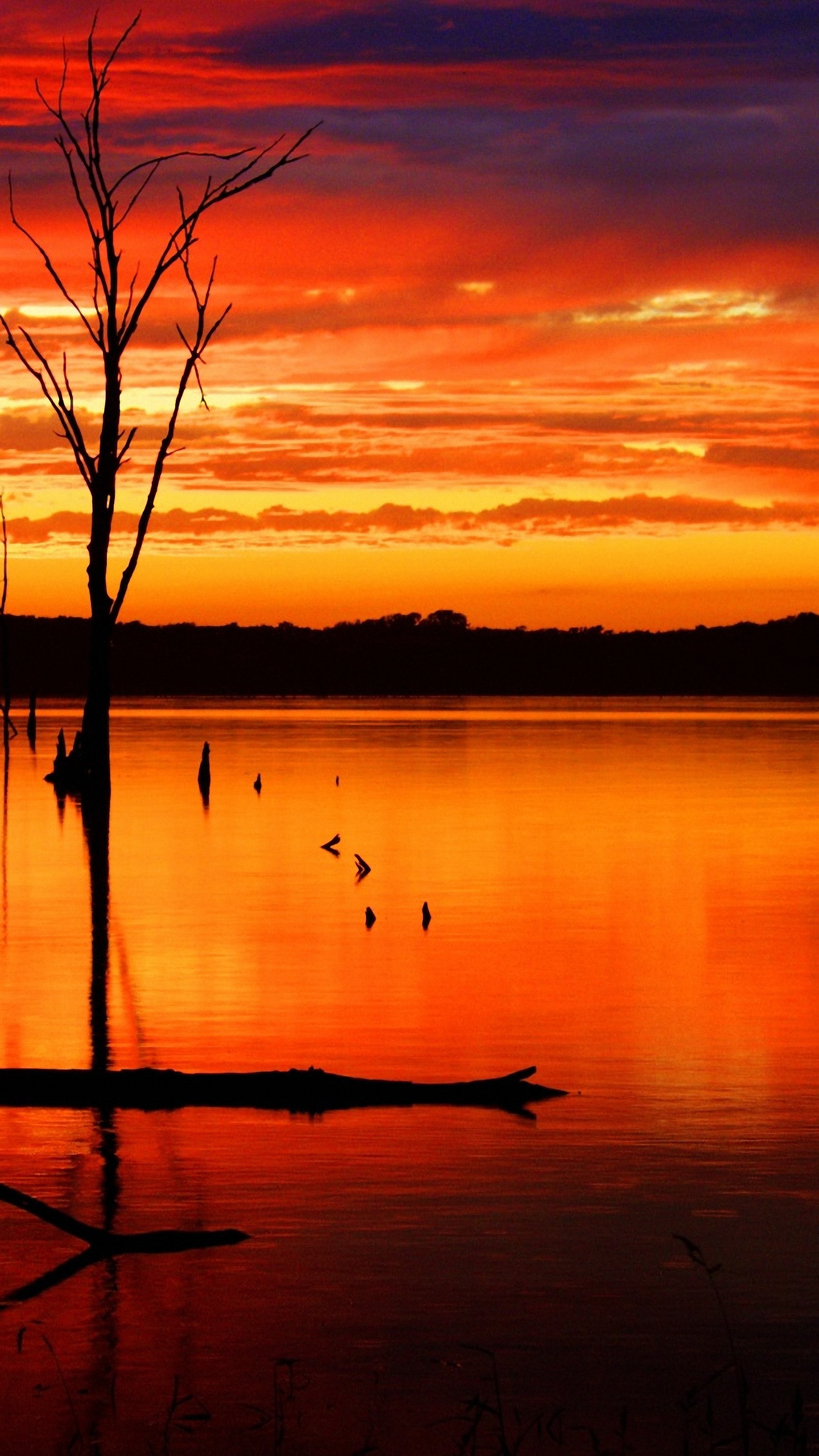 papier peint 2560,ciel,plan d'eau,la nature,rémanence,ciel rouge au matin