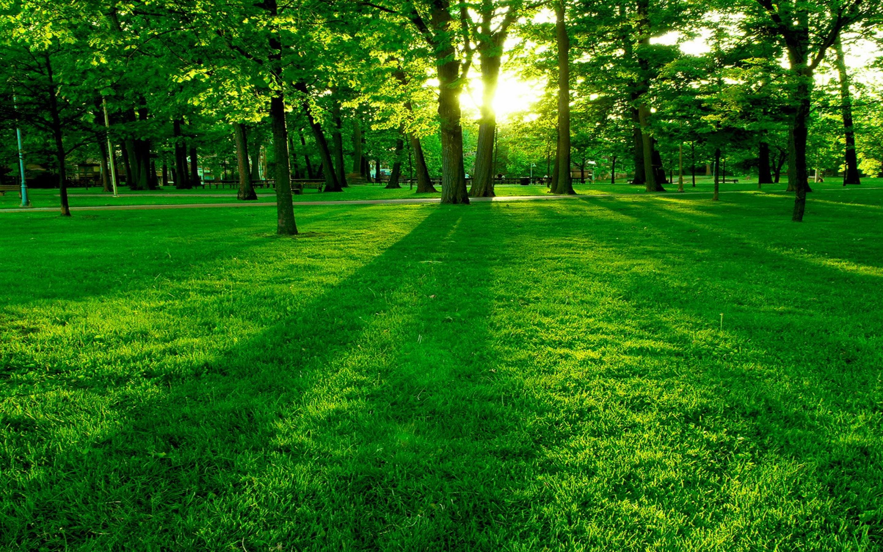 1800 wallpaper,green,natural landscape,nature,grass,lawn