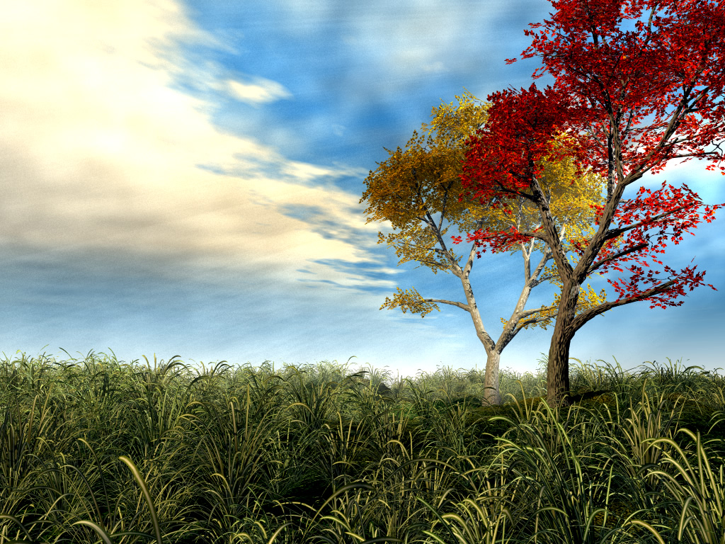 neues 3d wallpaper herunterladen,natürliche landschaft,himmel,natur,baum,gras