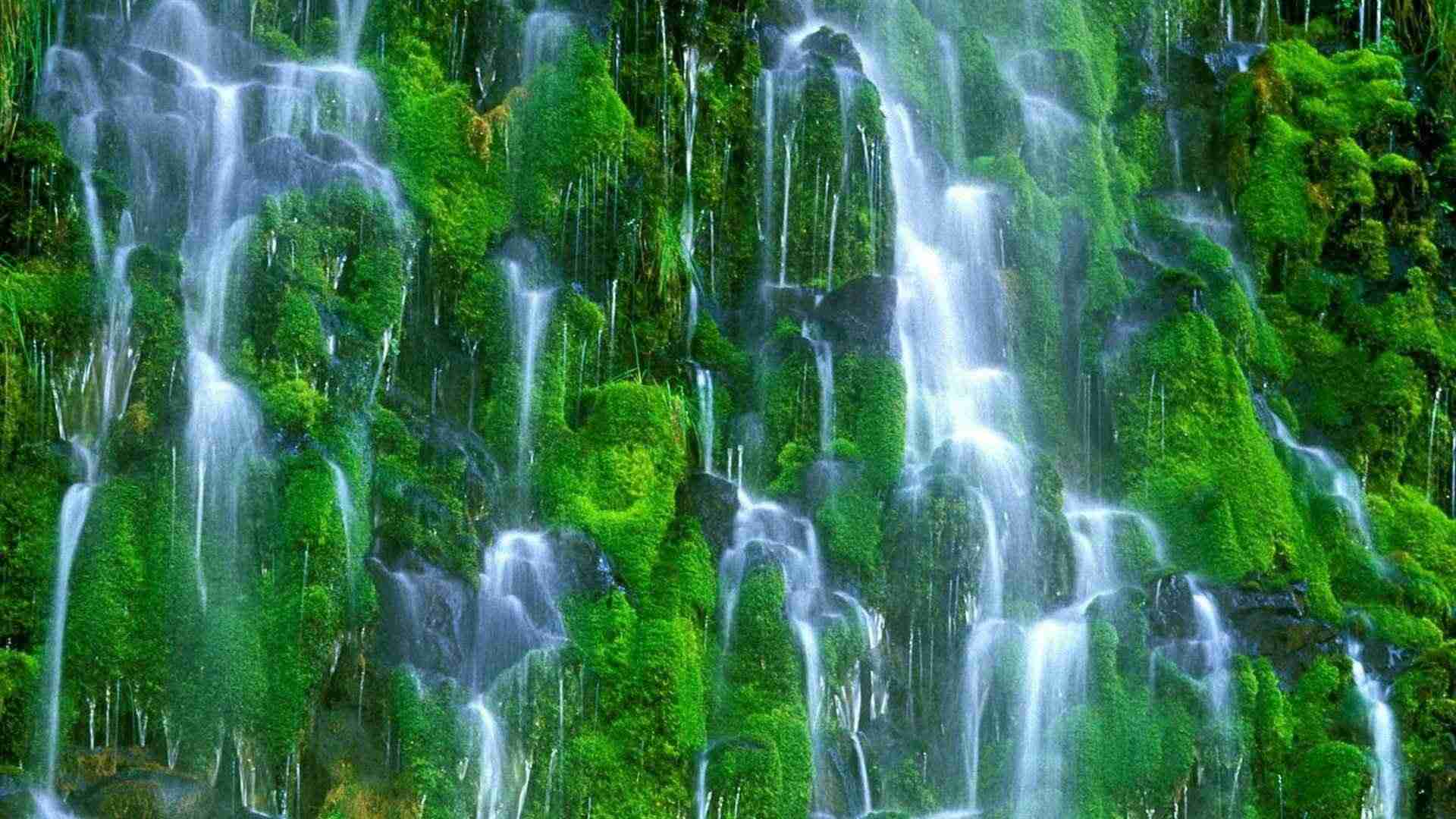 nachural wallpaper free download,waterfall,water resources,natural landscape,nature,water