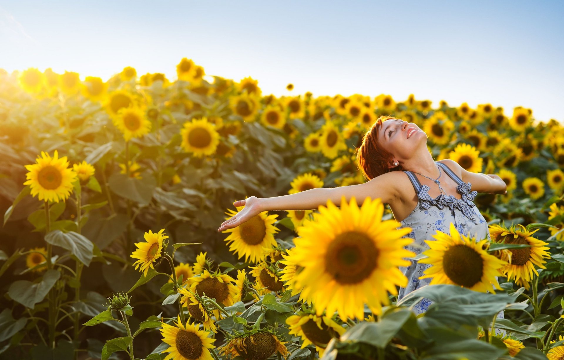 happy mood wallpapers hd,sunflower,people in nature,flower,yellow,sunflower