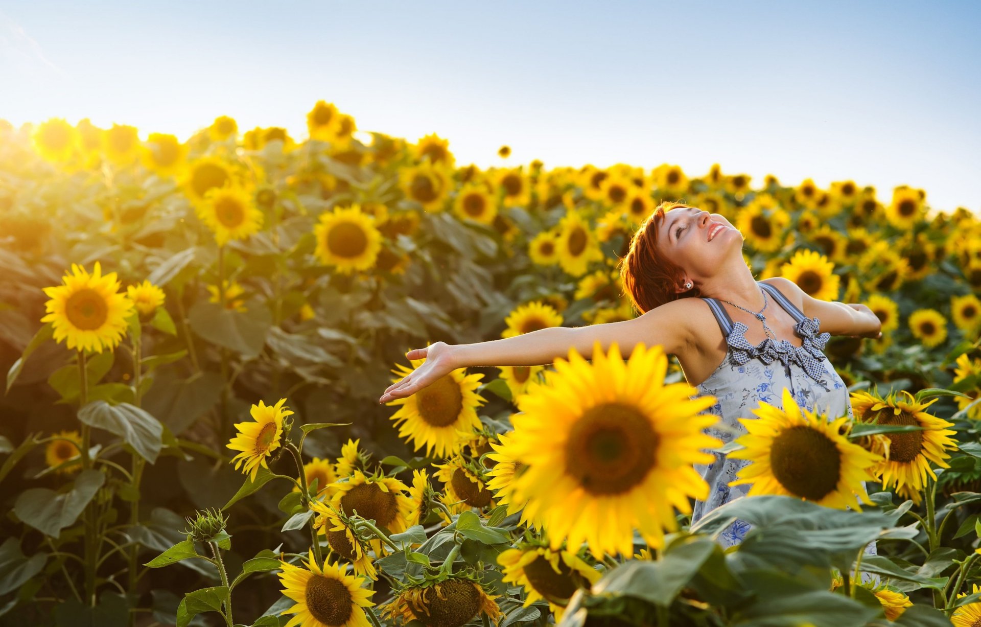 bonne humeur fonds d'écran hd,tournesol,fleur,jaune,tournesol,ciel