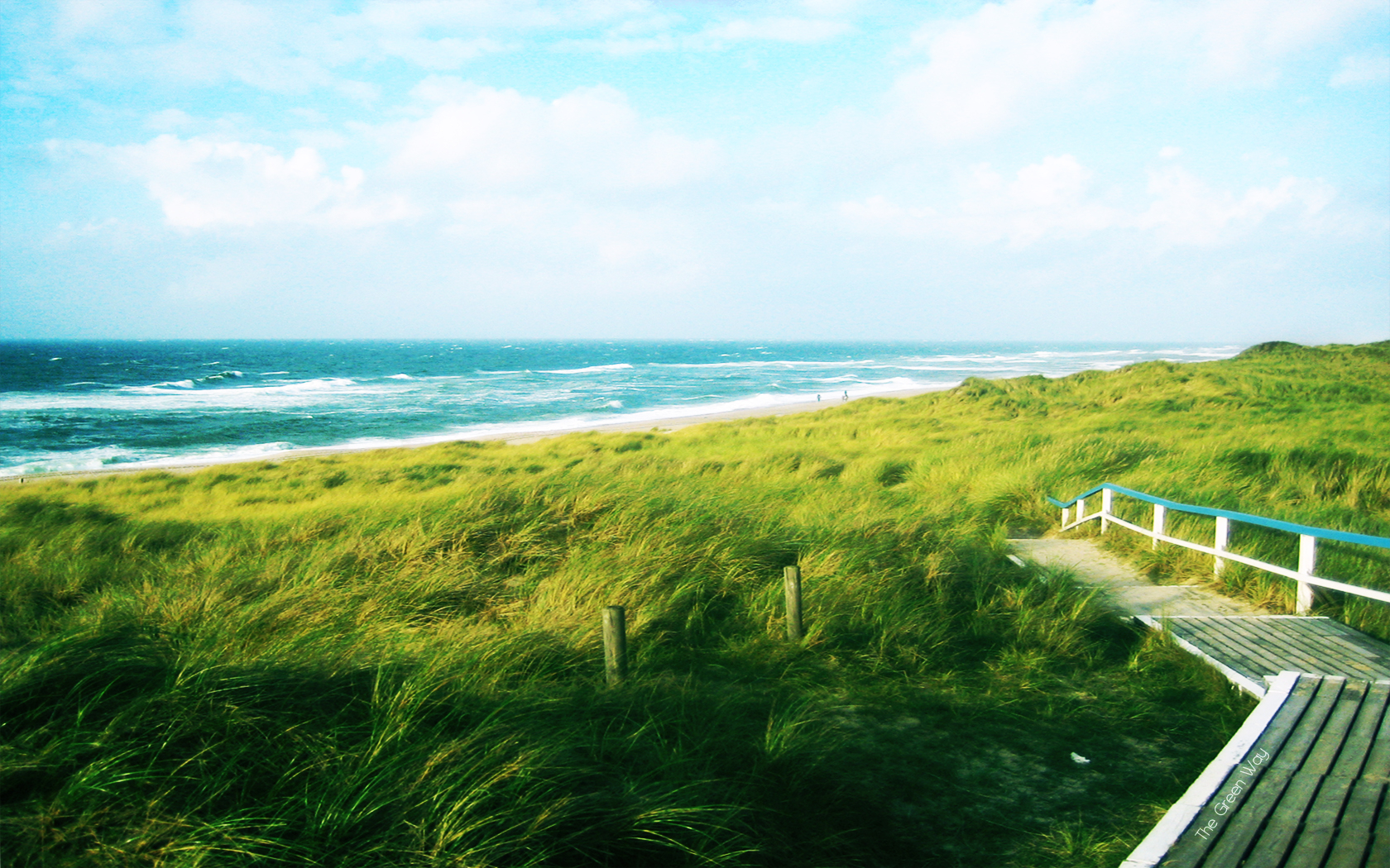 tapete gut für die augen,natur,natürliche landschaft,meer,küste,ufer