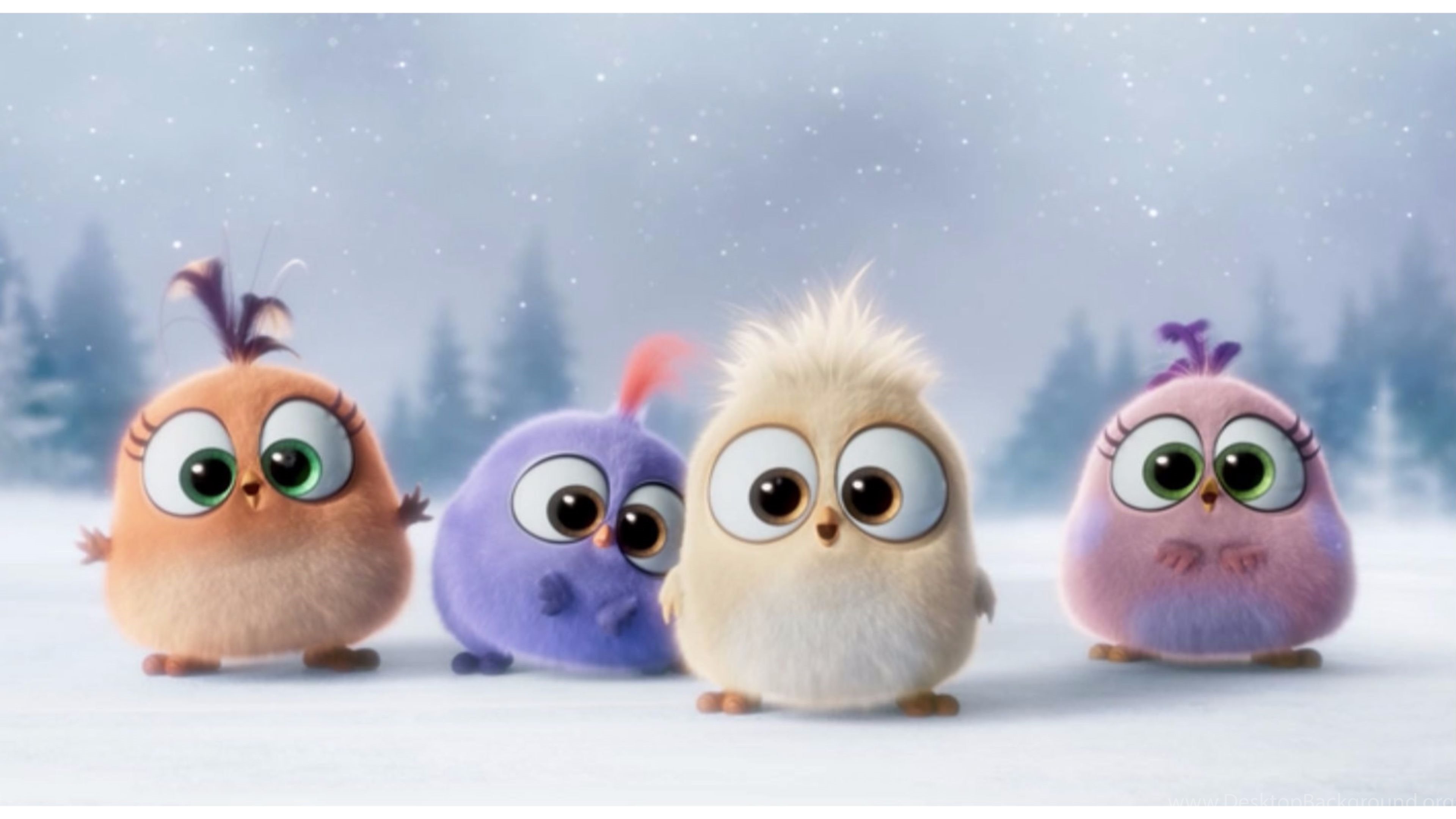 angry wallpaper hd,owl,animated cartoon,snowy owl,cartoon,animation