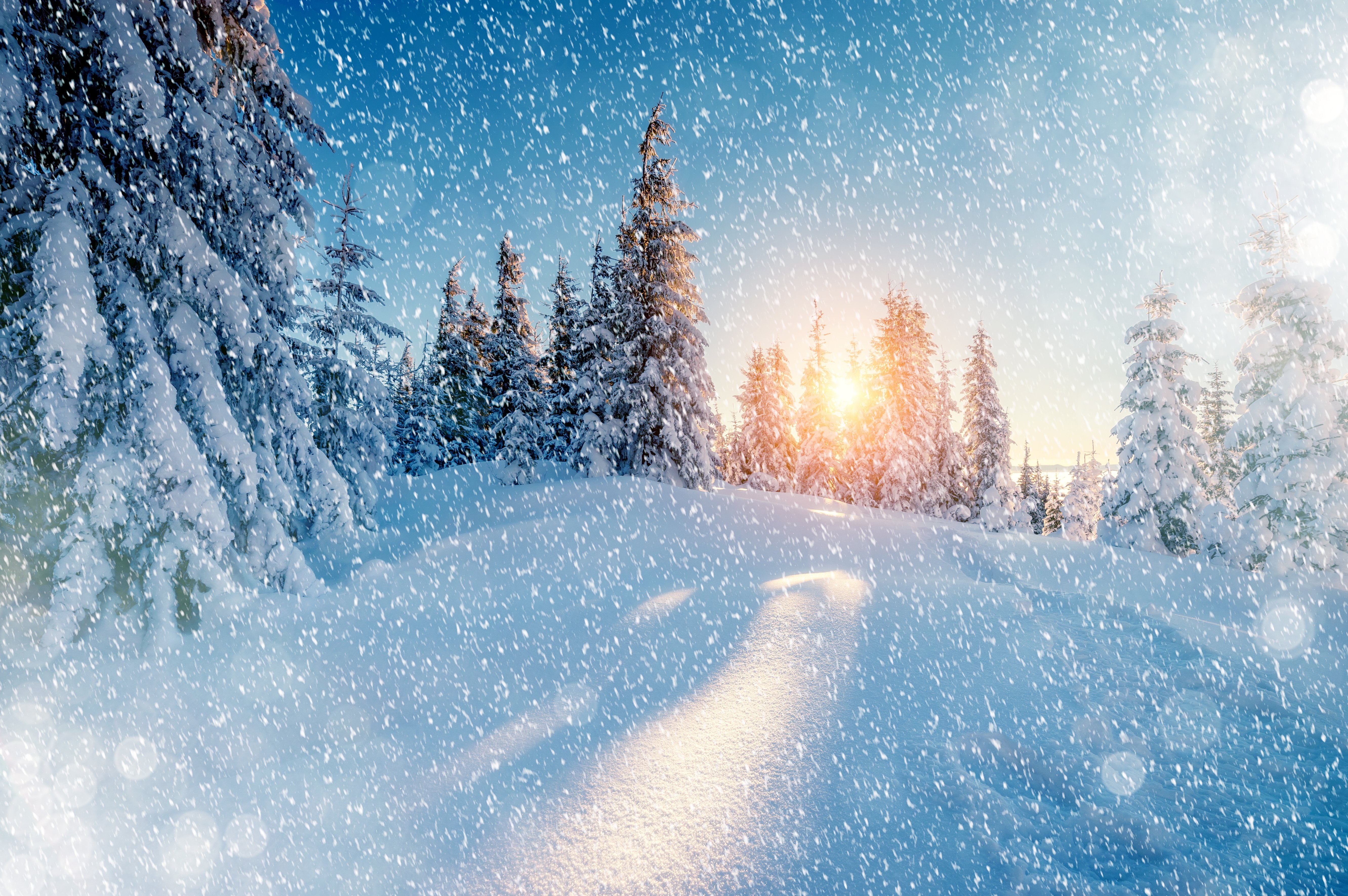 モバイル用の新鮮な壁紙,冬,雪,自然,自然の風景,空