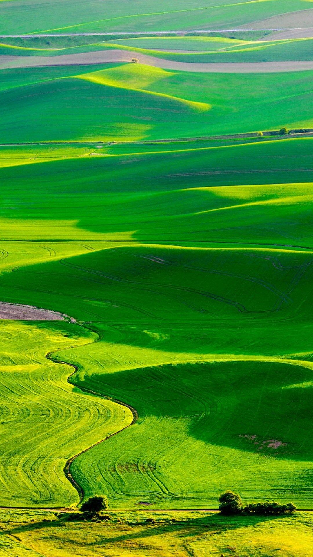 fresh wallpaper for mobile,green,grassland,nature,plain,natural landscape