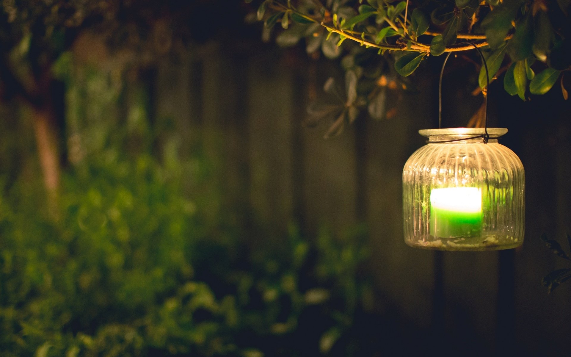 téléchargement de fond d'écran d'humeur,vert,éclairage,lumière,arbre,jaune