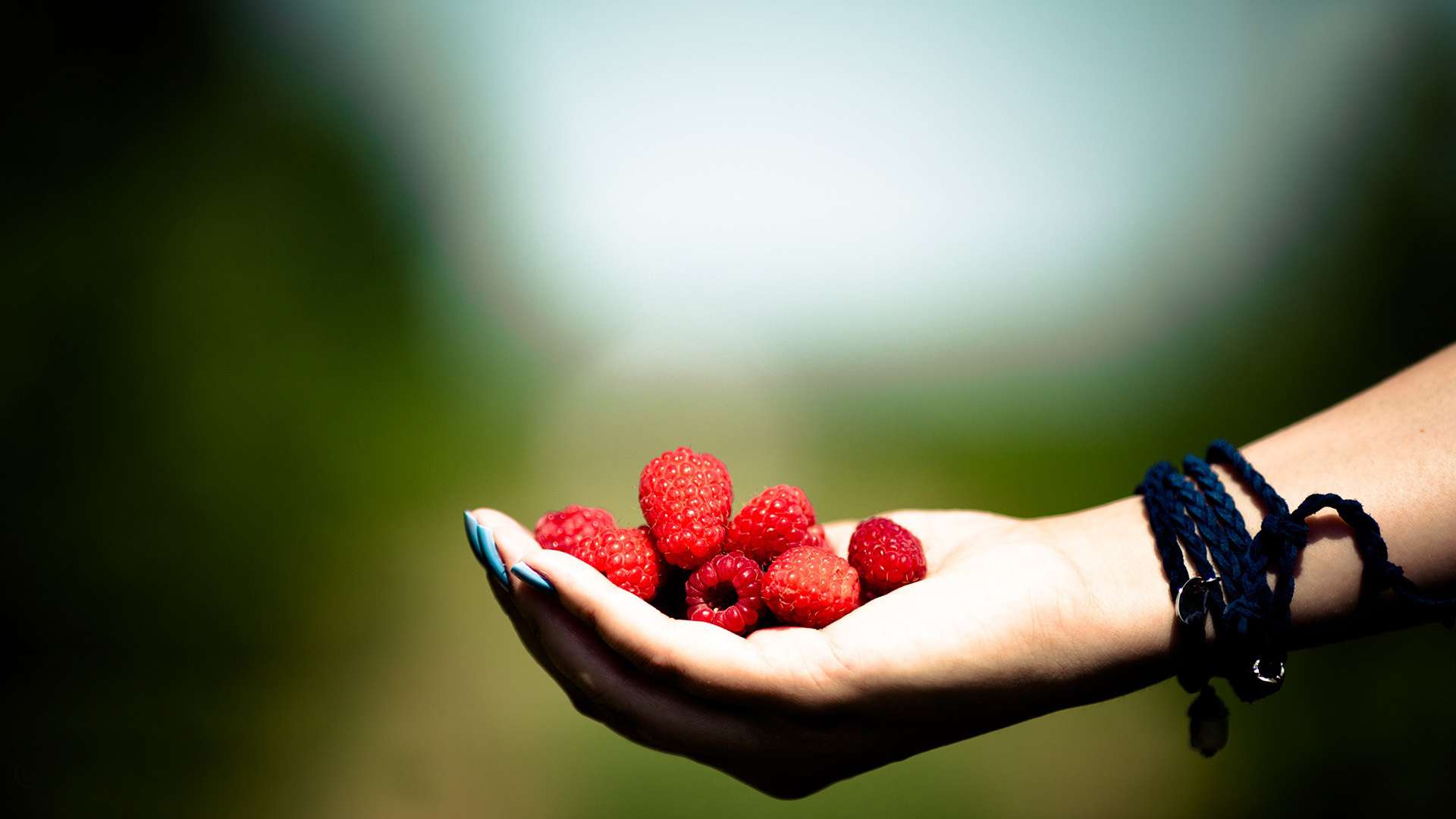 mood off wallpaper hd,red,berry,fruit,hand,strawberry