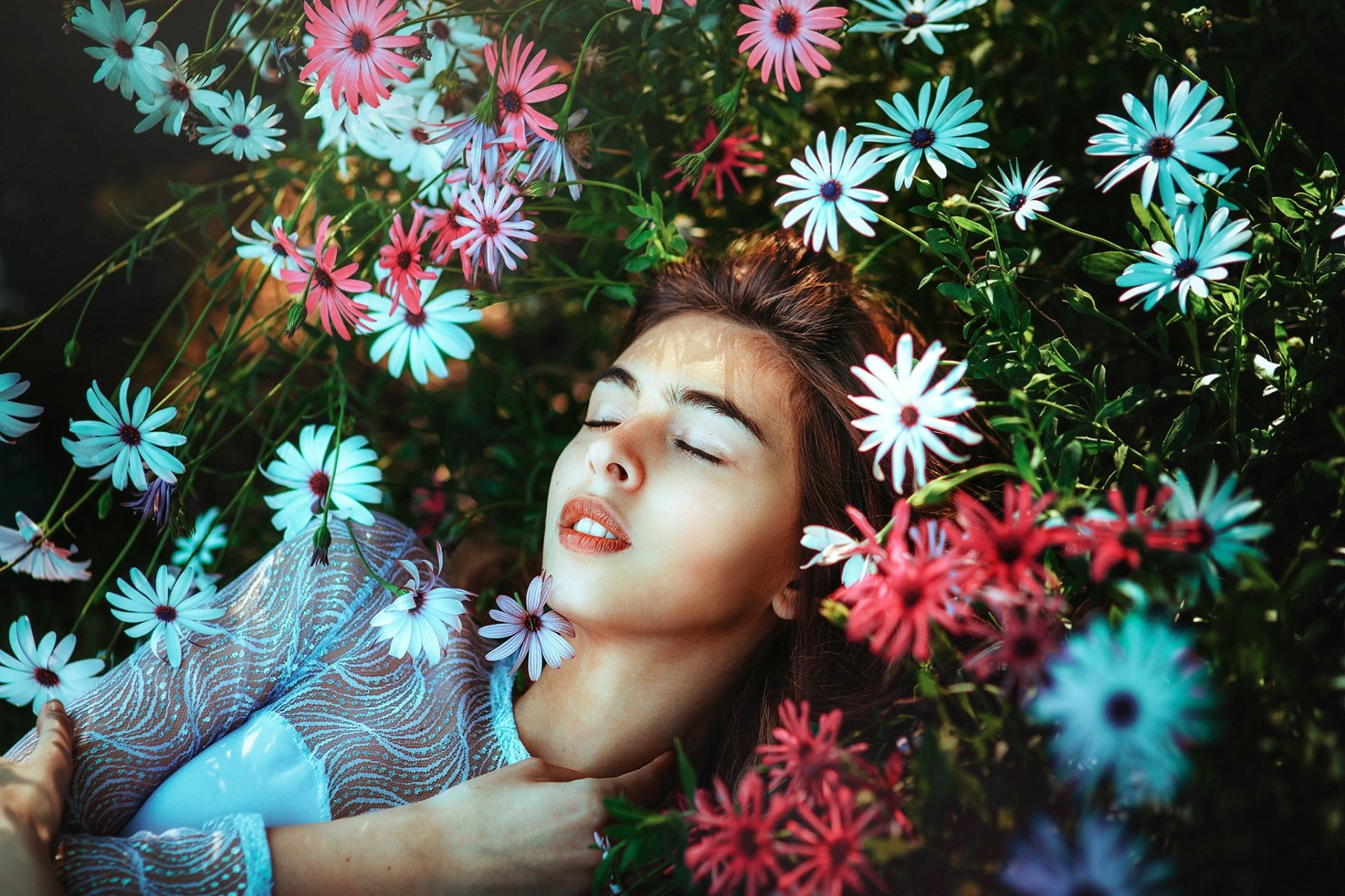 mood card wallpaper,face,beauty,pink,skin,flower