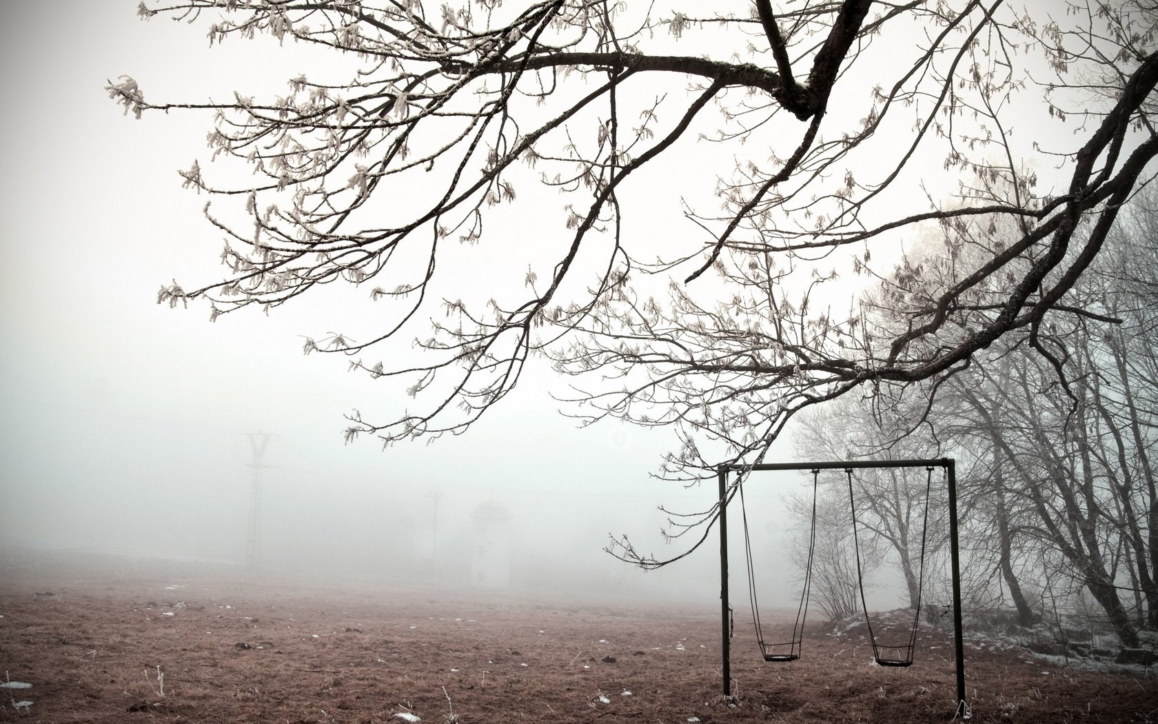 fondo de pantalla de tarjeta de estado de ánimo,naturaleza,paisaje natural,árbol,niebla,en blanco y negro