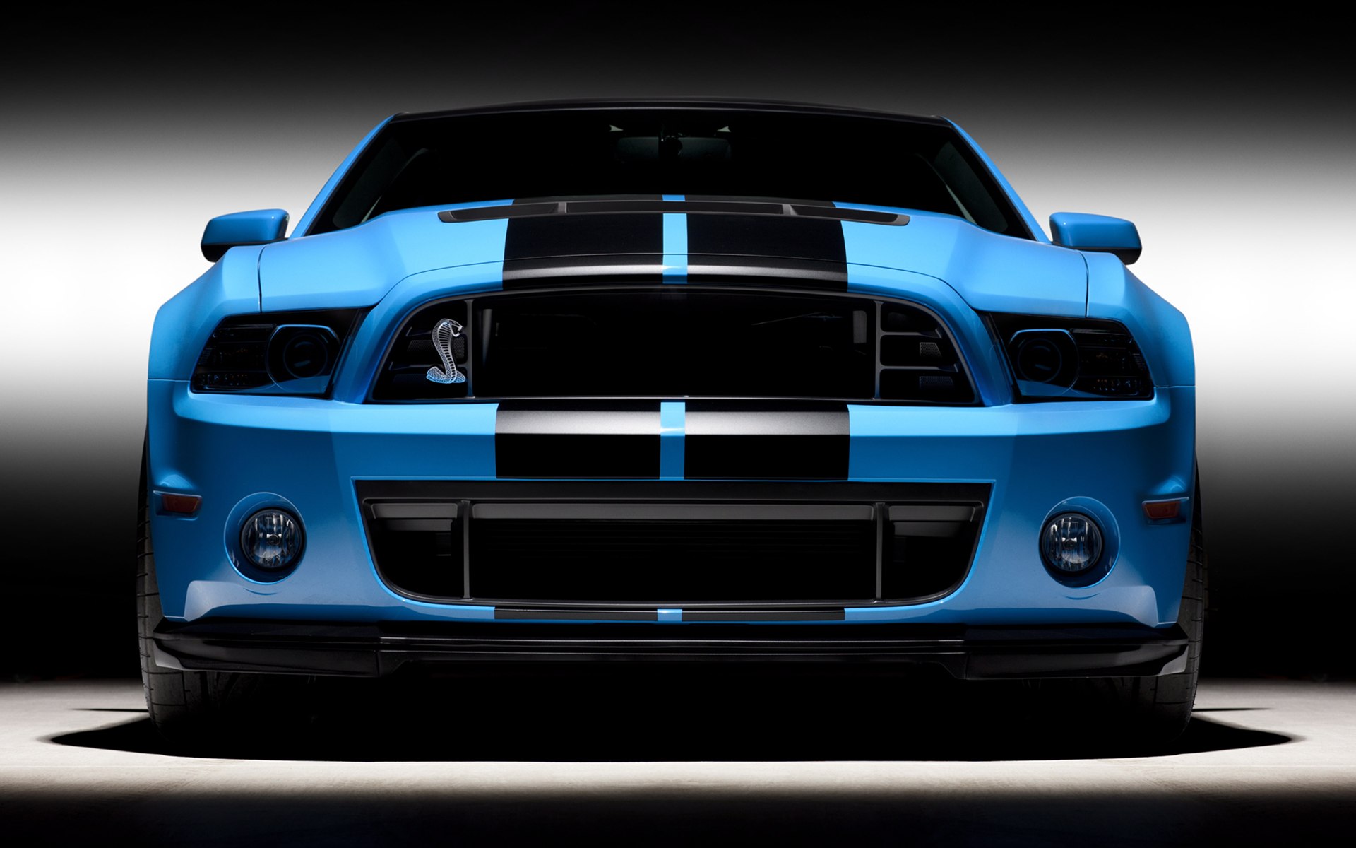 2013 wallpaper,land vehicle,vehicle,car,shelby mustang,automotive design