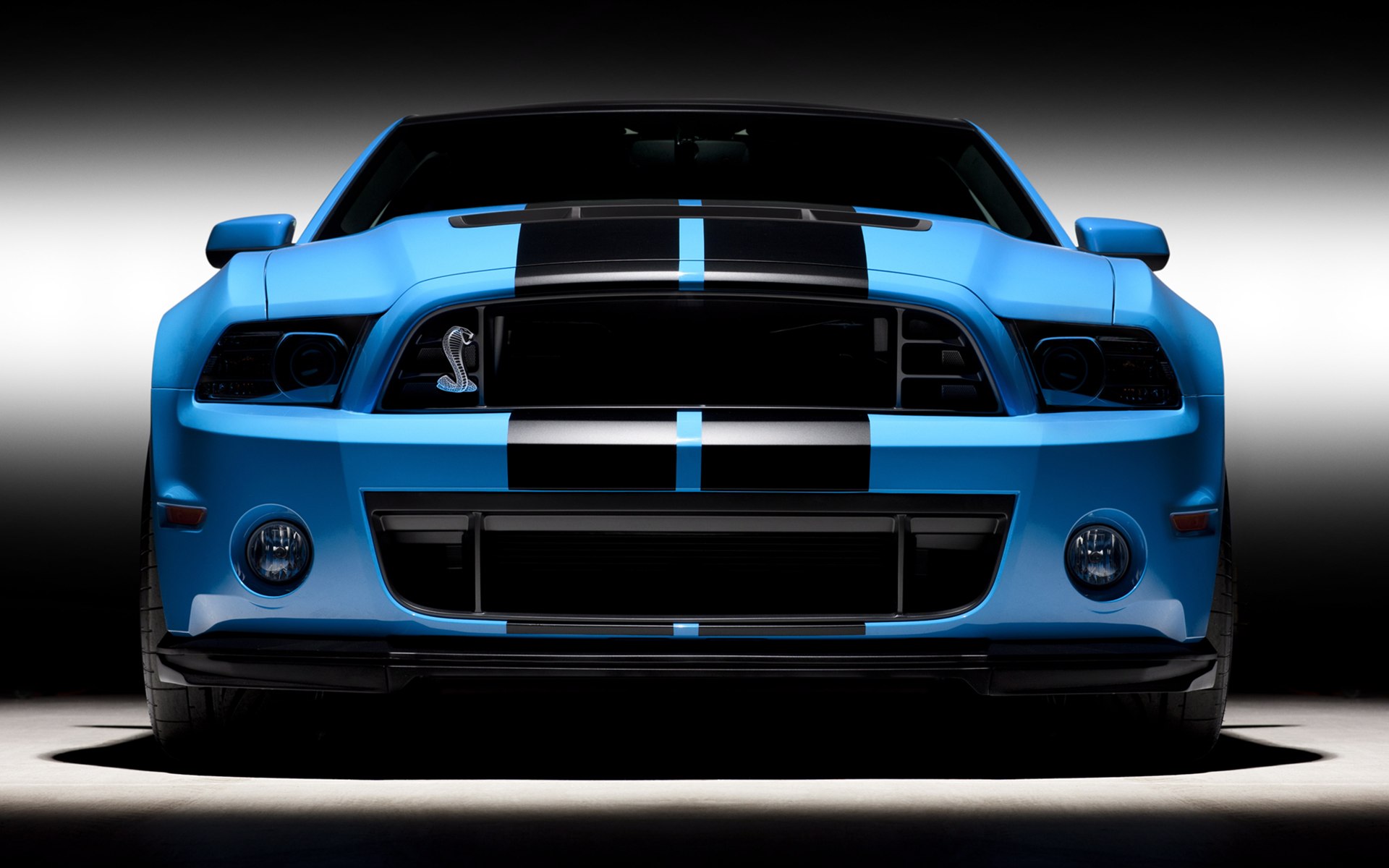 2013 fondo de pantalla,vehículo terrestre,vehículo,coche,shelby mustang,golpe