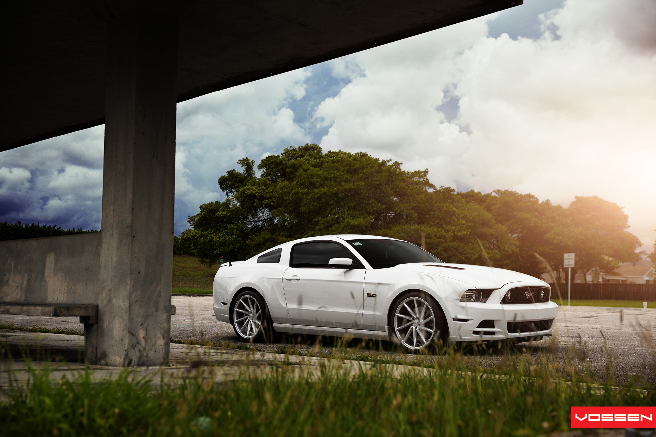 2014 wallpaper,land vehicle,vehicle,car,shelby mustang,automotive design