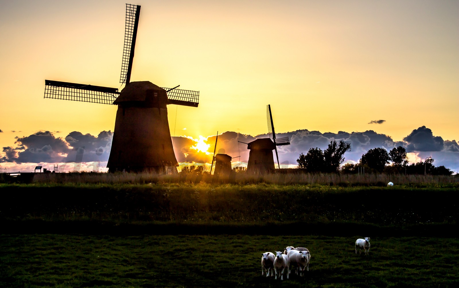 niederländische tapete,windmühle,himmel,atmosphäre,kraftwerk,gras