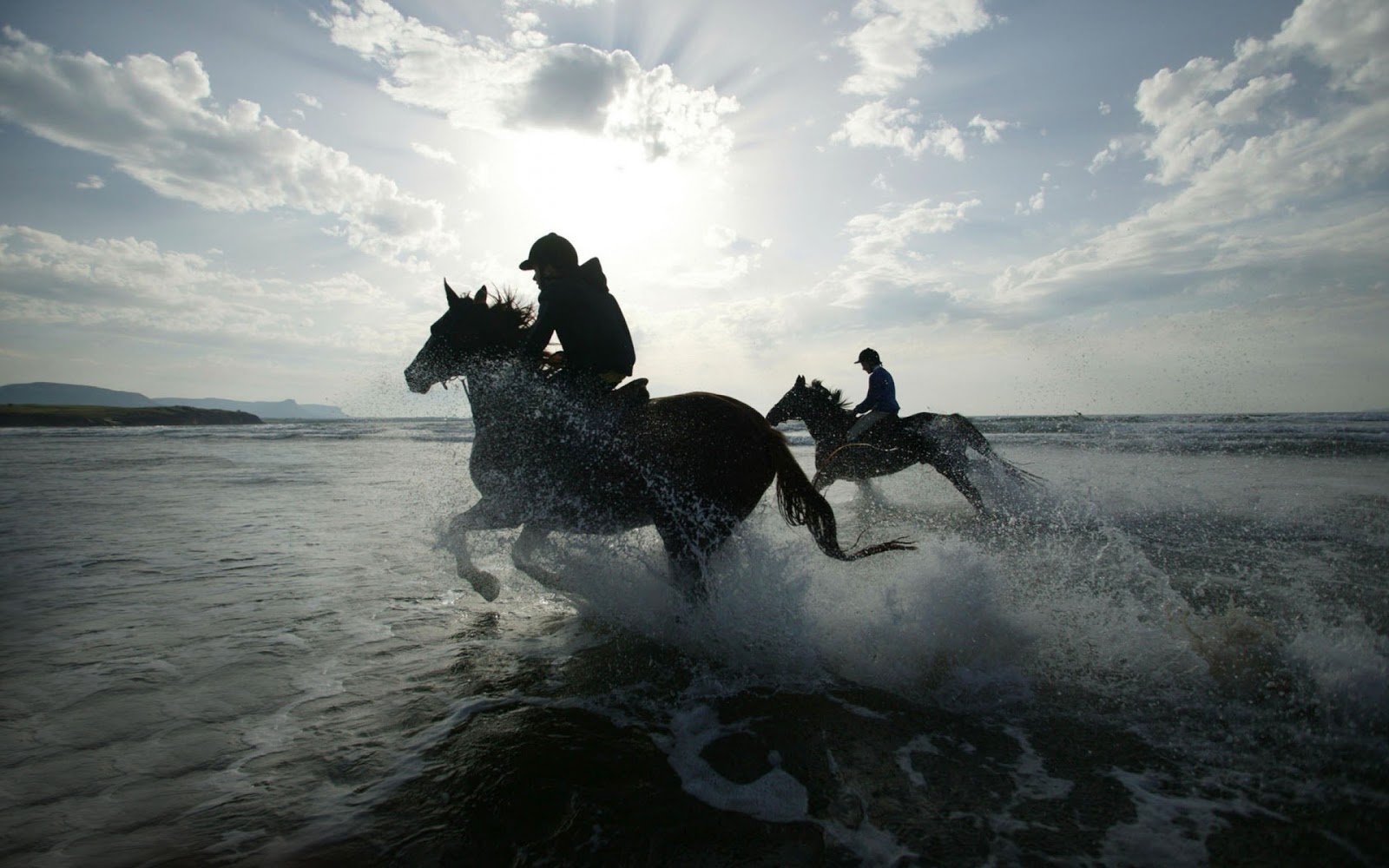 fond d'écran fringant,cheval,vague,ciel,l'eau,mer
