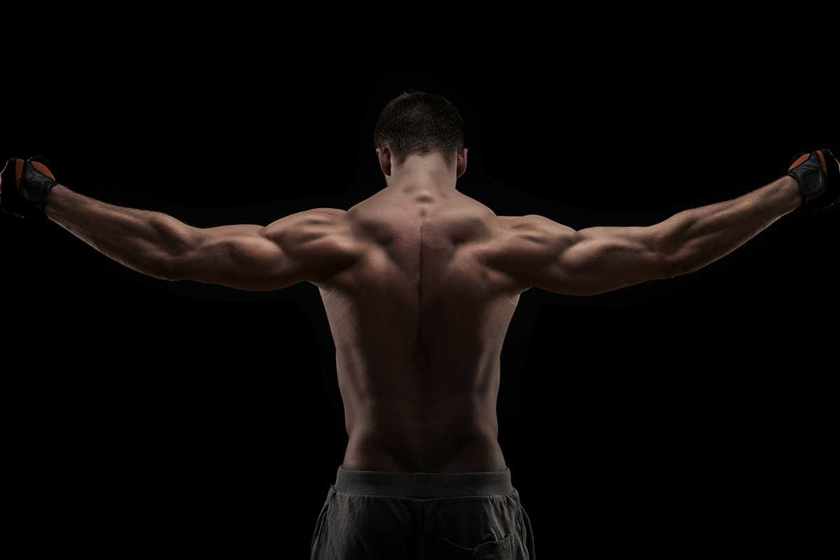 fond d'écran homme de remise en forme,épaule,bodybuilder,la musculation,torse nu,forme physique