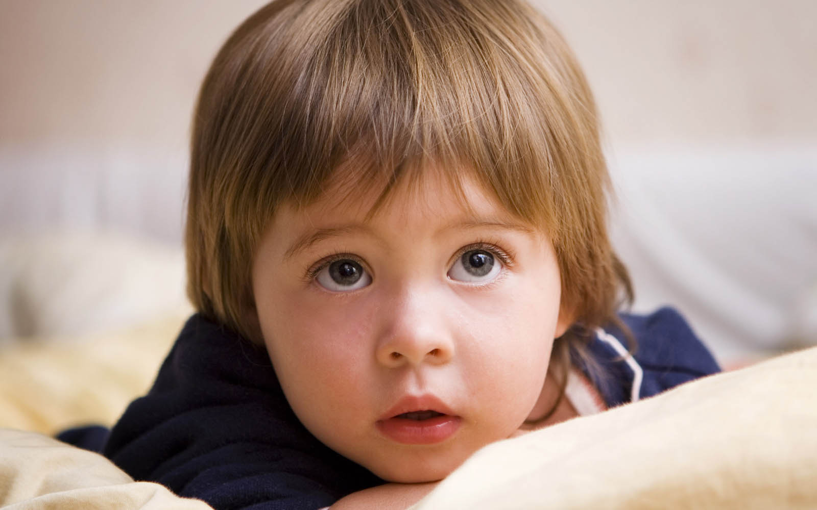 papier peint petit garçon,enfant,cheveux,visage,coiffure,bambin