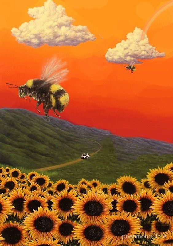 ragazzo foto sfondo,ape,fiore,cielo,pianta,ape