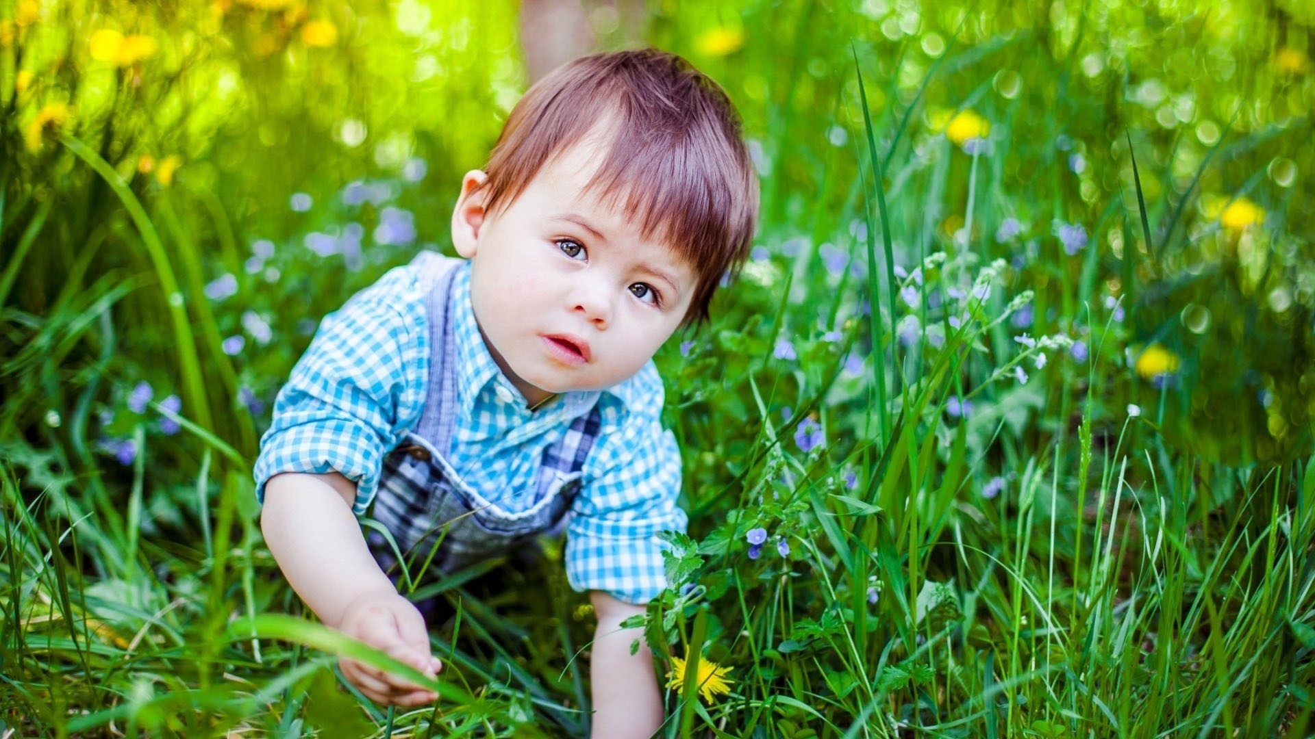 kleine jungen tapete,kind,gras,natur,grün,kleinkind