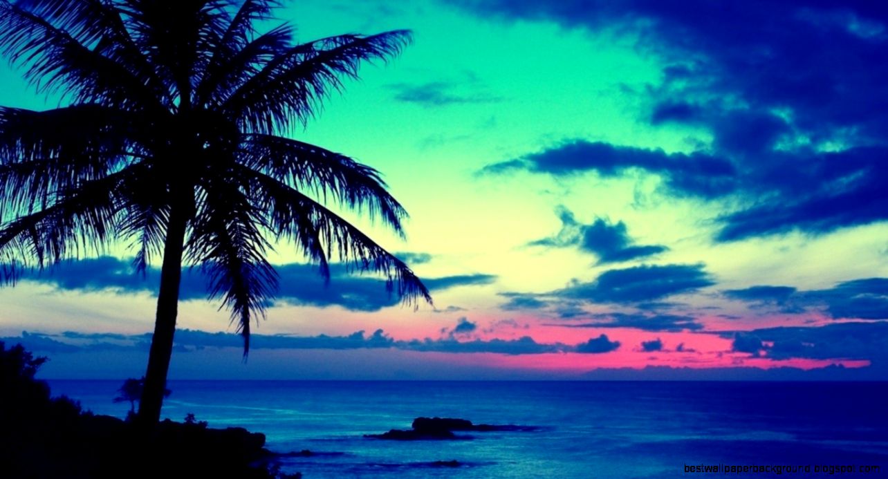 fondo de pantalla dow,cielo,naturaleza,oceano,árbol,palmera