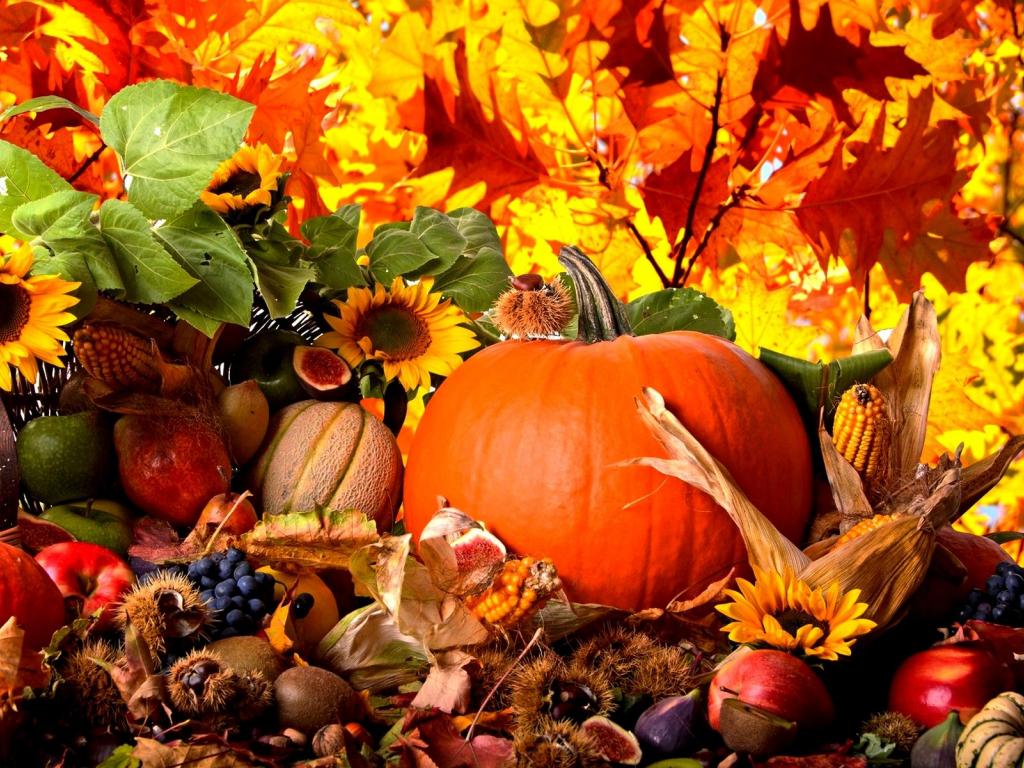 harvest wallpaper,natural foods,pumpkin,vegetable,gourd,winter squash