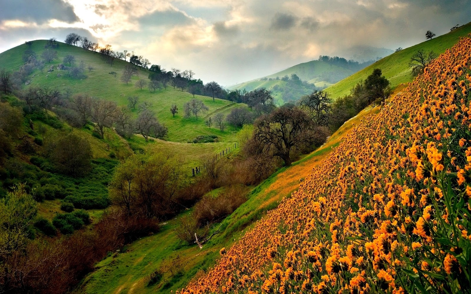 descarga gratuita de fondos de pantalla de windows,paisaje natural,naturaleza,colina,cielo,montaña