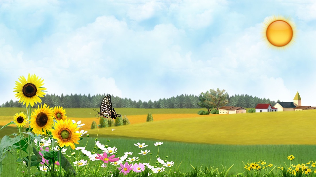 windows 10 wallpaper hd 3d für desktop,natürliche landschaft,natur,feld,sonnenblume,wiese